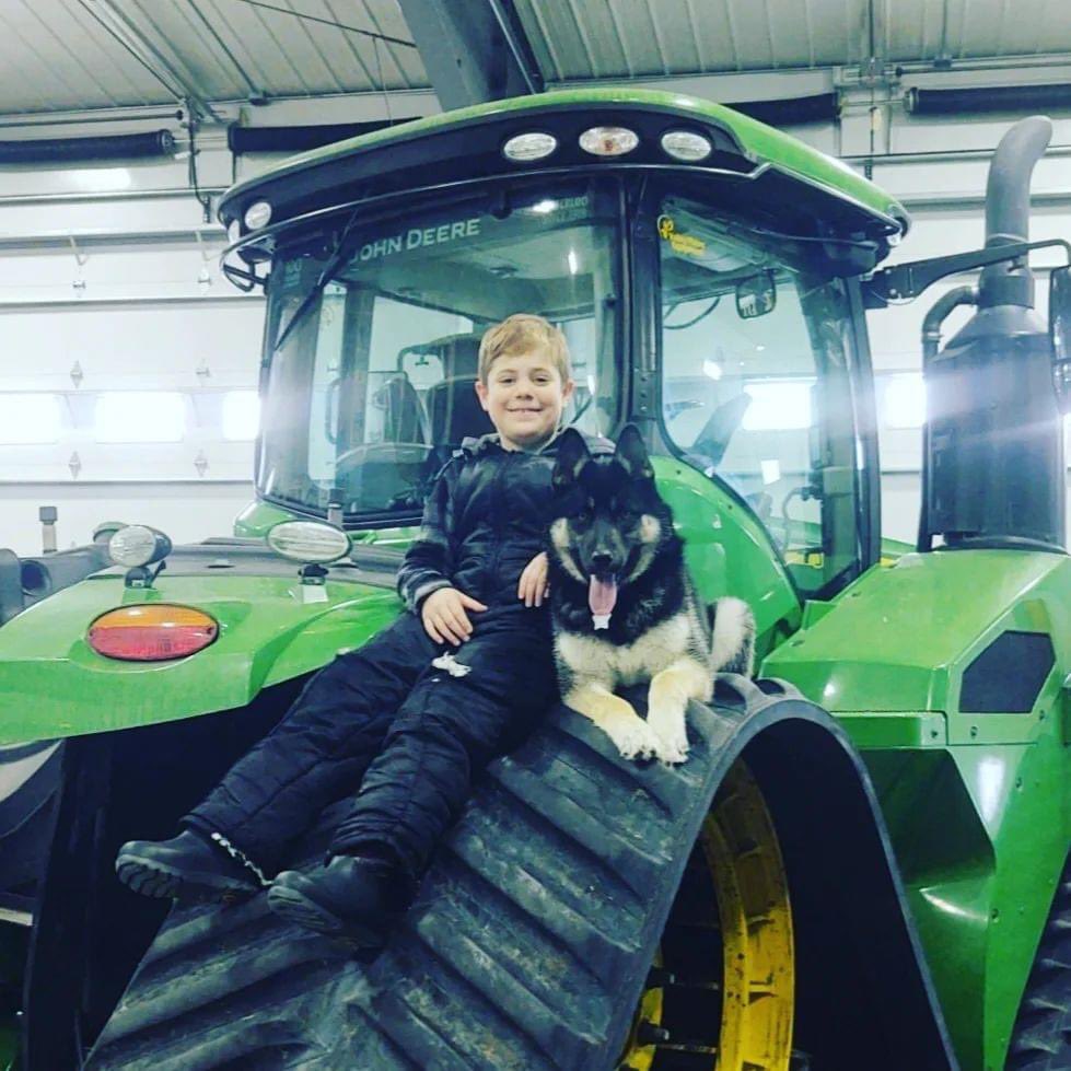 Haugen Family Farms HaugenFamFarms Twitter Profile Sotwe