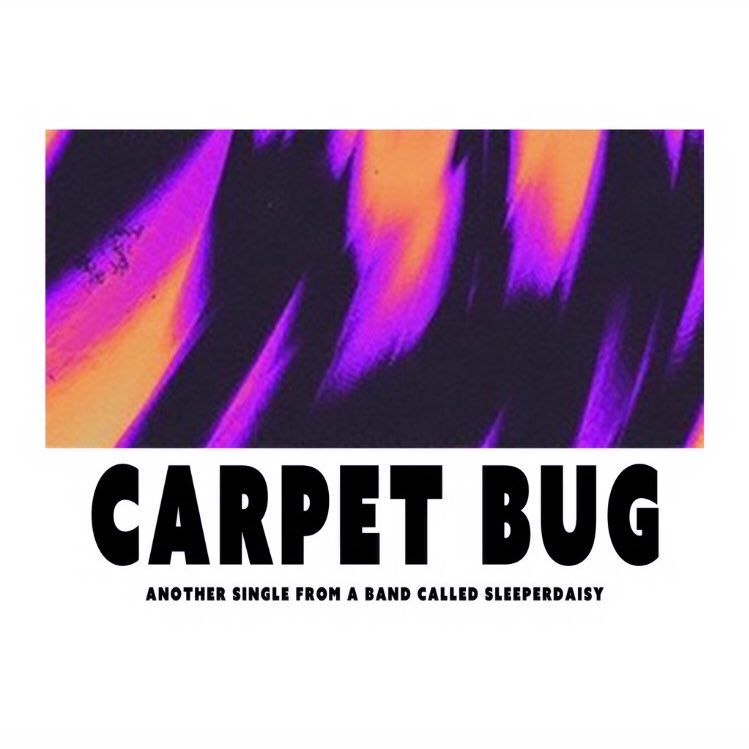 SLEEPERDAISY tweet media