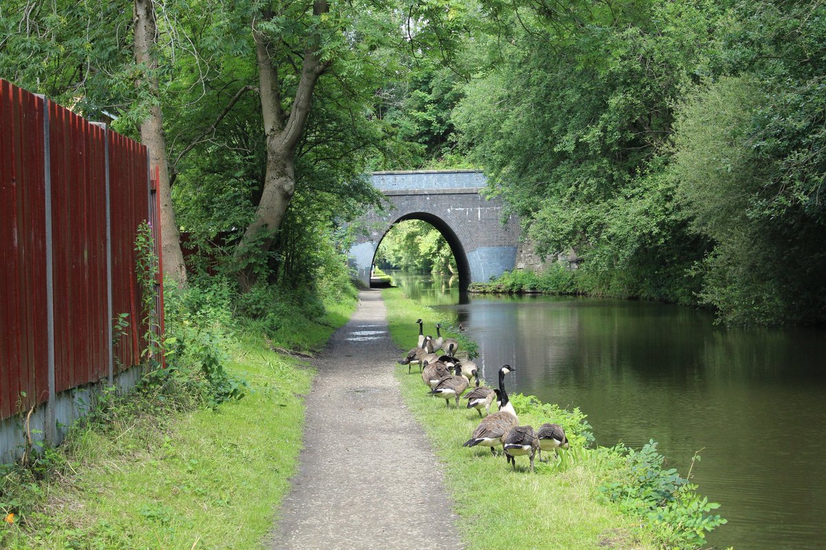 RomileyBridge tweet picture
