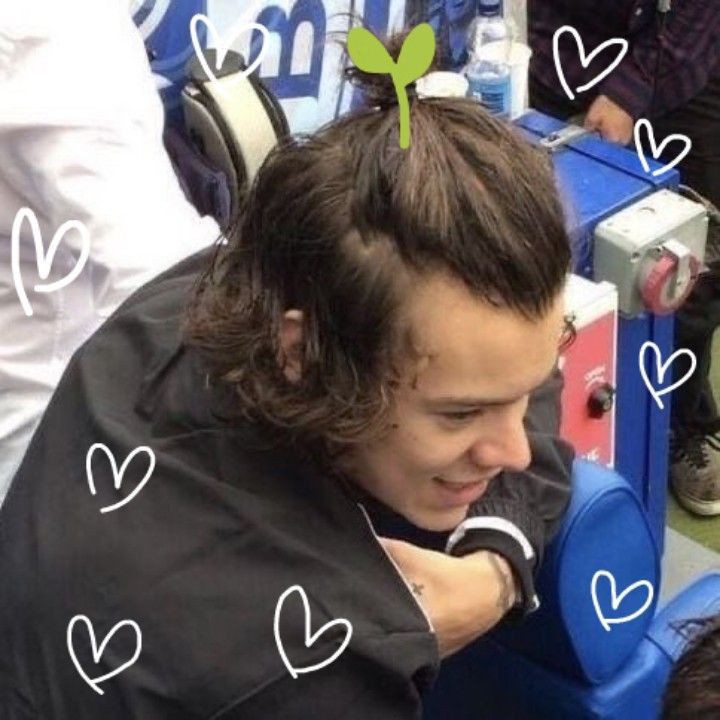 ismyhaz's tweet photo. 🌱 https://t.co/whOUy6lhoZ