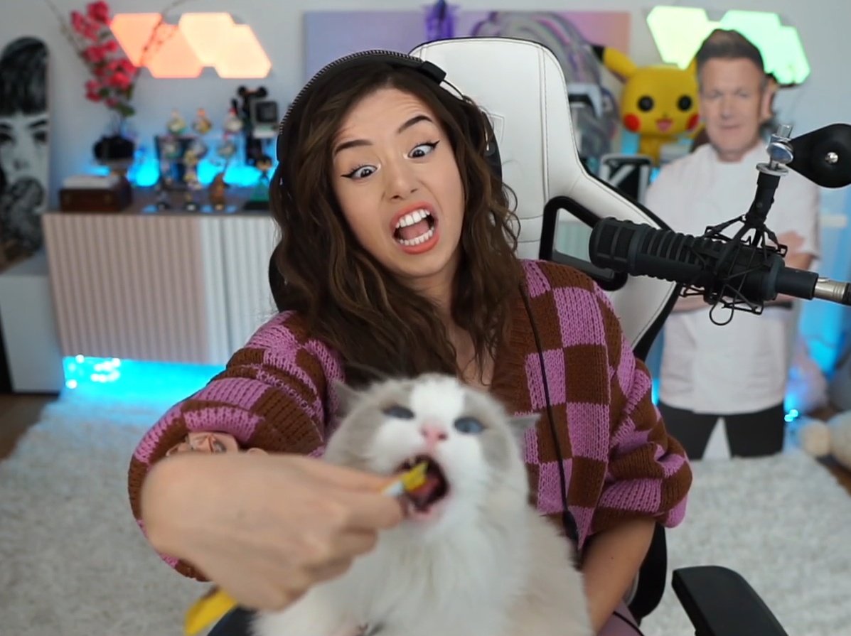 PokiBruh's tweet photo. Like mother, like daughter 😺 https://t.co/SAE9GDP1zu