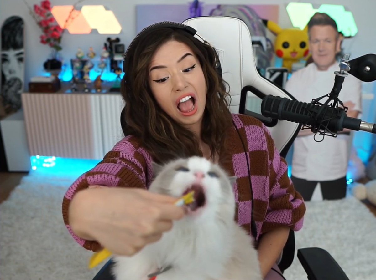PokiBruh's tweet photo. Like mother, like daughter 😺 https://t.co/SAE9GDP1zu