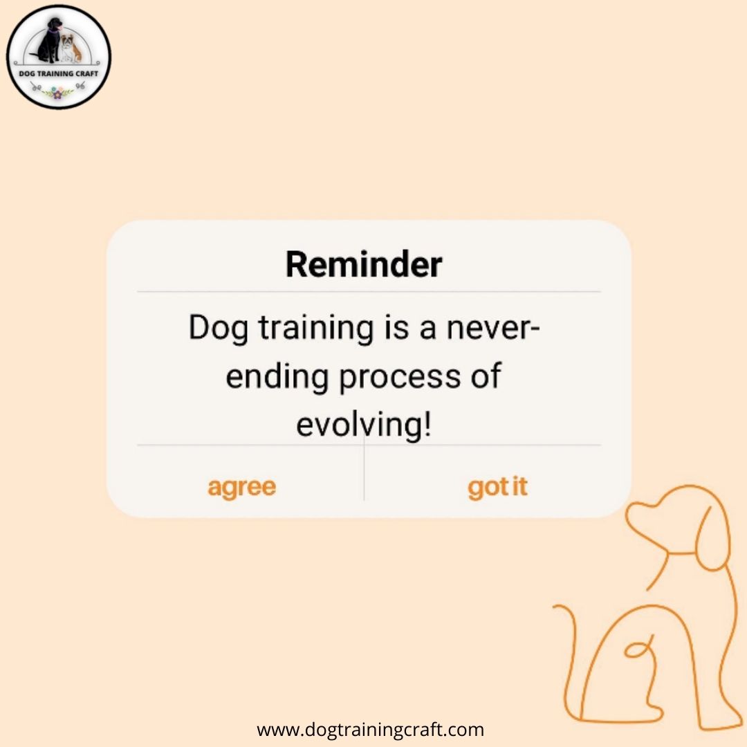 Today’s reminder:
Dog training is a never ending process of evolving!
Train your dog with our training tips.
dogtrainingcraft.com 
#dogs #dogtraining #dogtrainer #advanceddogtraining #trainingtips #gundogtraining #dogtrainingadvice #dogtrainingisfun #USA #dogsoftwitter