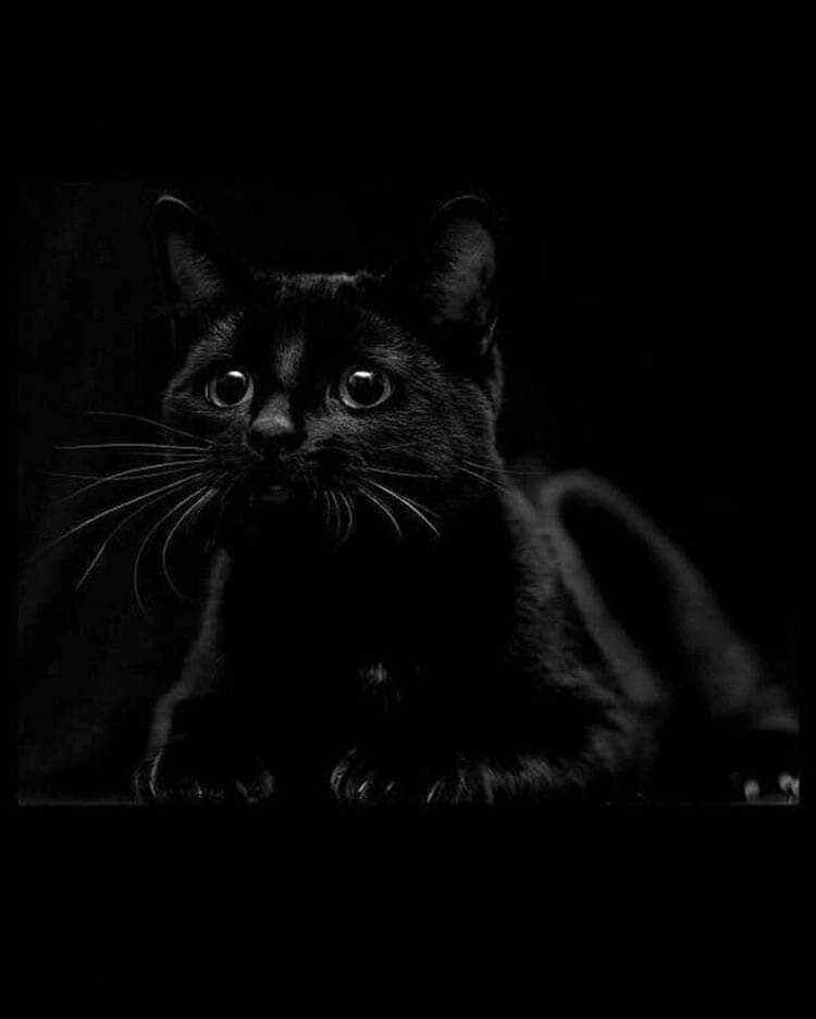 Очаровательные глазки -
Очаровали вы меня...