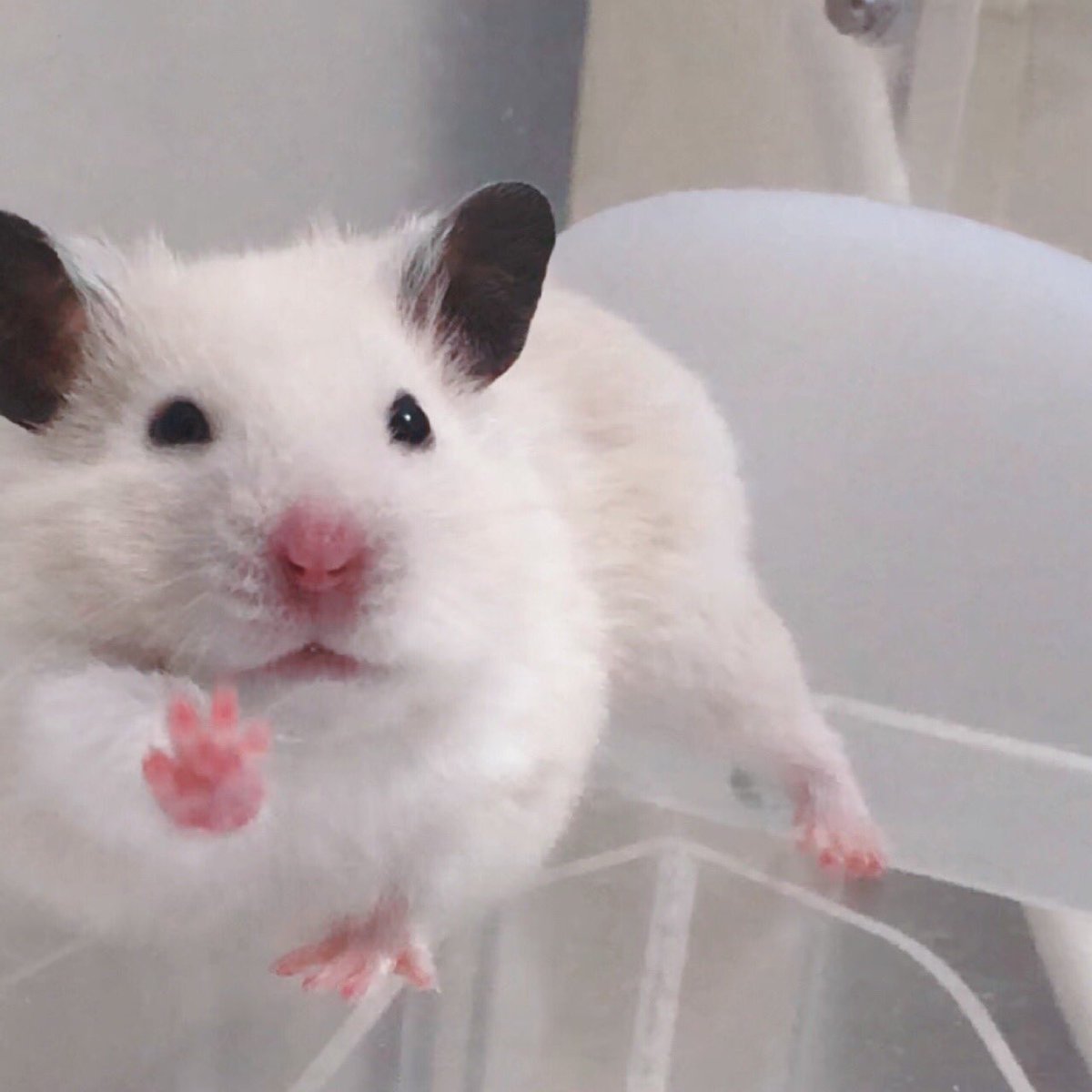 출전하겠습니다✋🏻