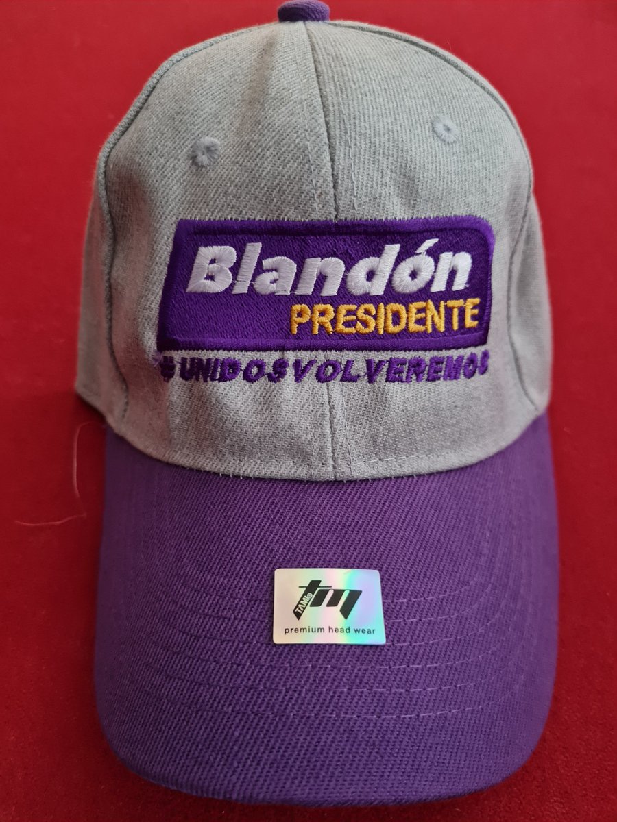 Preparándonos para nuestra fiesta electoral del 6 de marzo. Armando los kits para nuestros convencionales a nivel nacional #UnidosVolveremos