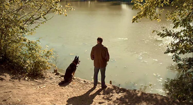 #AfterLife in one shot ❤️
