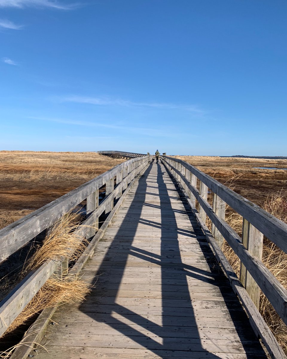 oceansunchalets's tweet image. Endless trails to explore. Get in touch with nature during your stay. 

Ask us about our #localrate specials! oceansunsetchalets.com

#oceanchalets #murraybeach #northumberland #beach #novascotia #RiverJohn #cabins #brule #bruleshore #getaway #vacationrental #BruleBeach