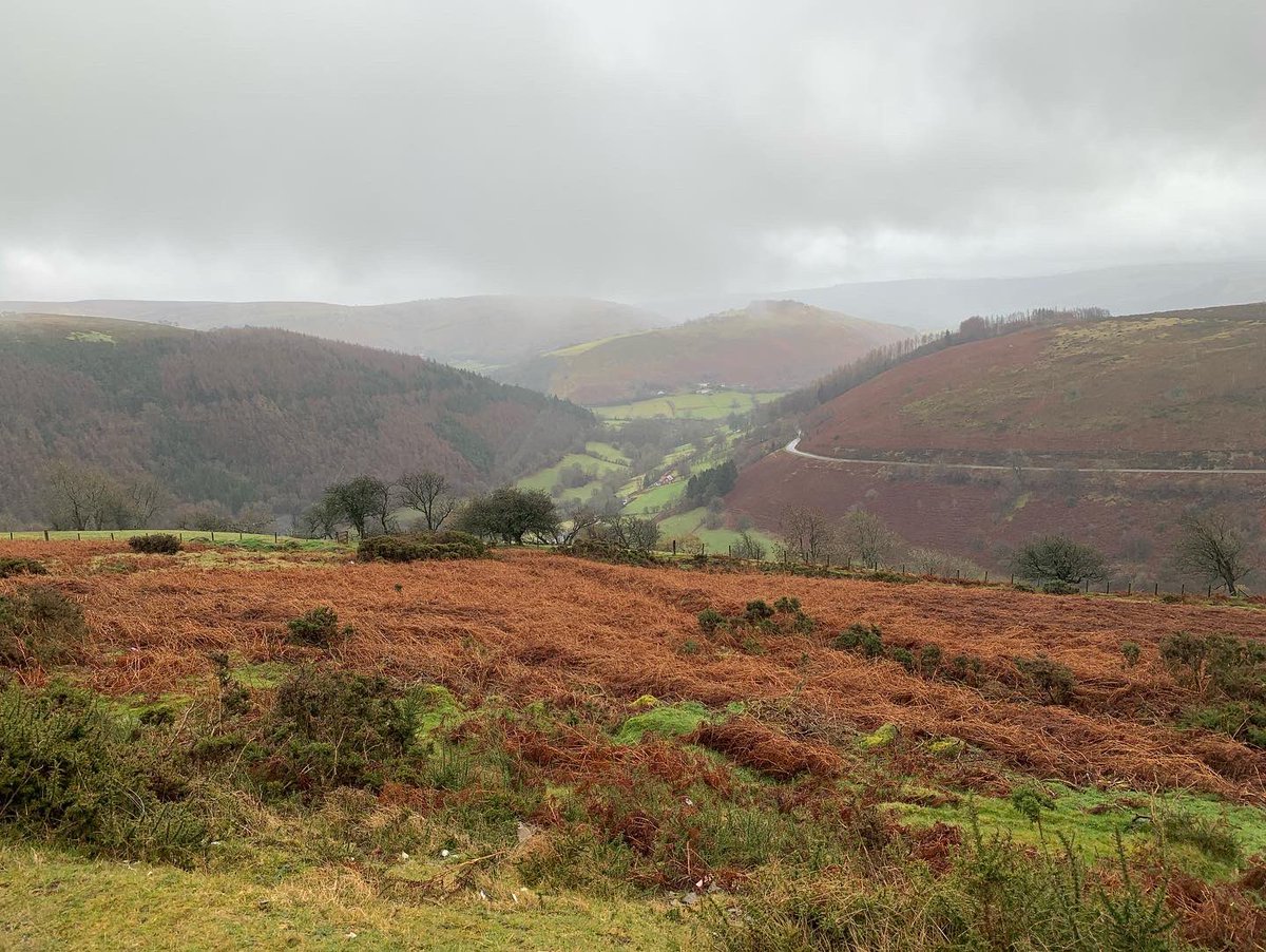 claire_henley88's tweet photo. Beautiful spontaneous ride out today #vanlife #findingabalance https://t.co/q4p9vjneXU