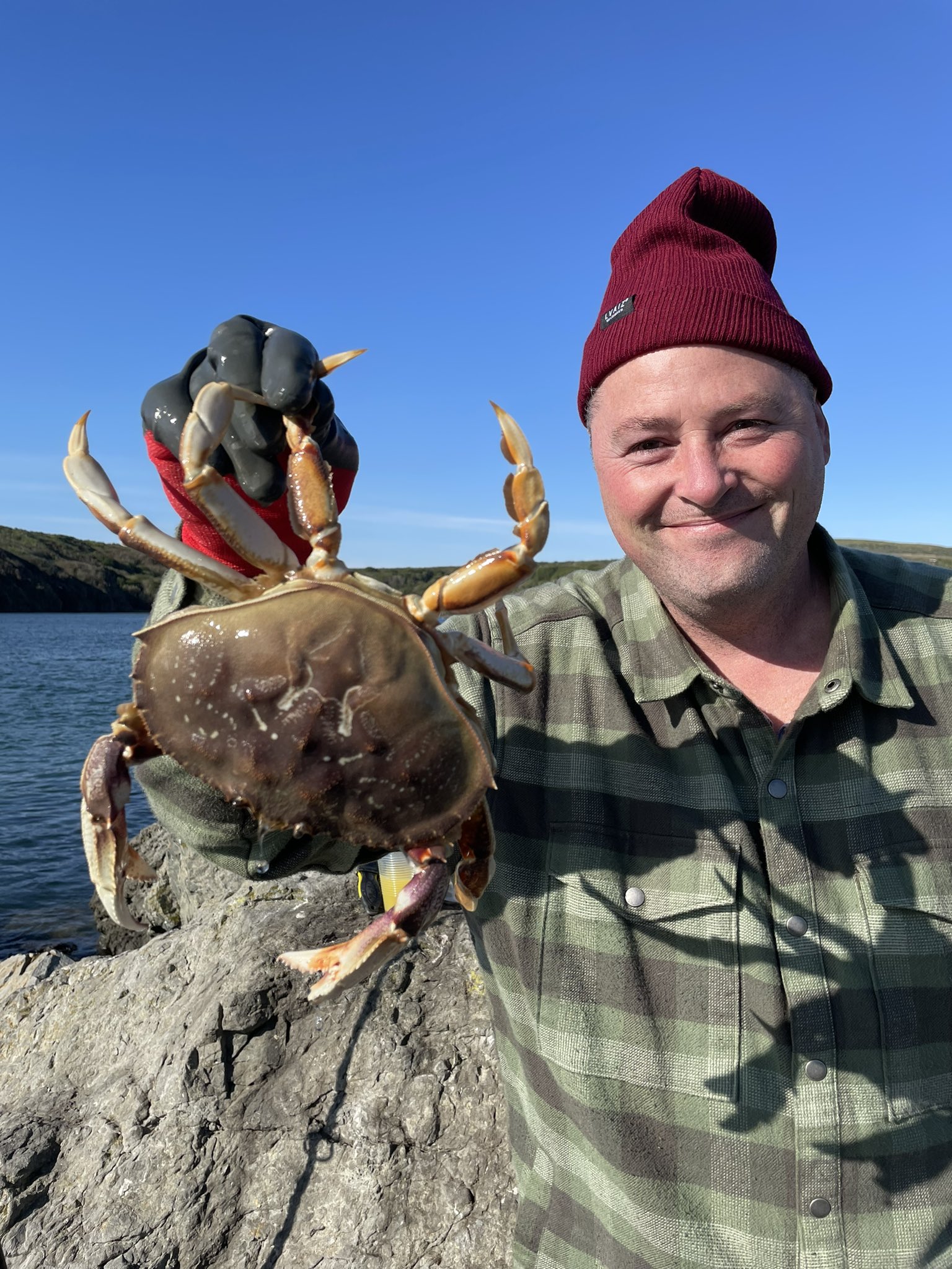 Bodega Bay Inn 🌺 (Bodegabayinn) / Twitter