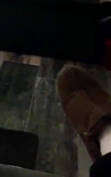 miemelaar's tweet photo. @kissatheman WHAT ARE THOOSSEEE https://t.co/3LkIcwy7iR