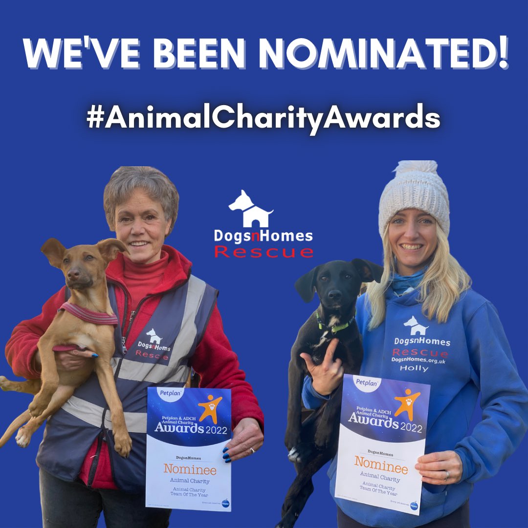 YAY! We’ve been nominated! 🐾🎉🏆

We feel so grateful to have our work recognised, particularly as DogsnHomes Rescue is run entirely by a small team of volunteers. 100% of any money we receive goes directly towards the rescue and care of dogs in need. 🐶

#AnimalCharityAwards