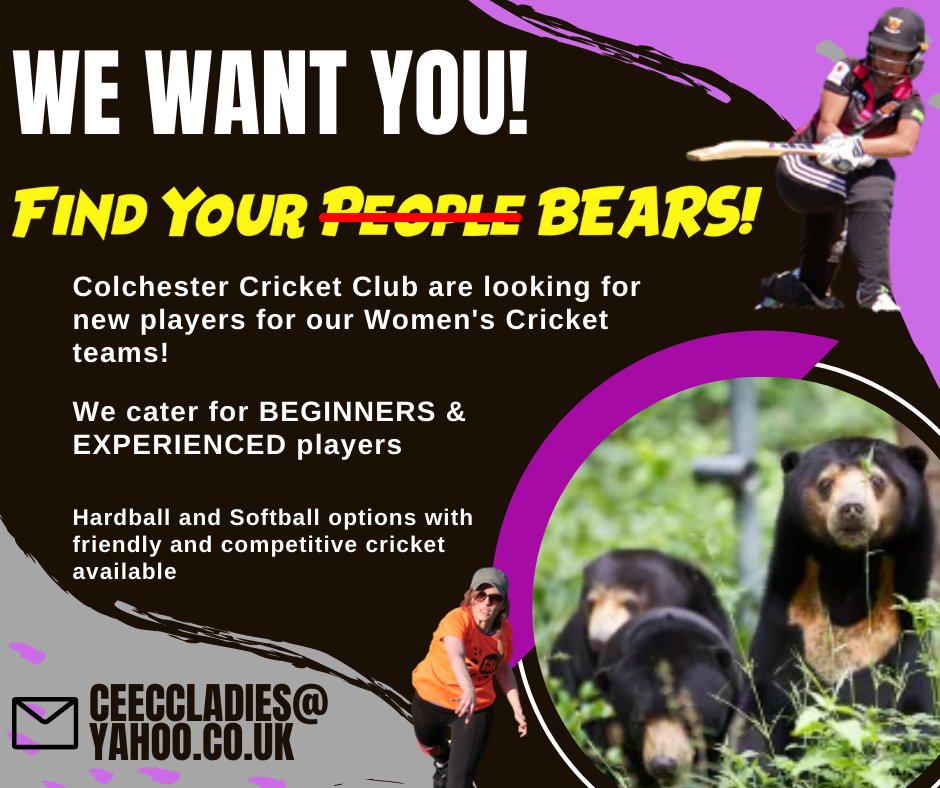 Colchester Sun Bears Cricket tweet media