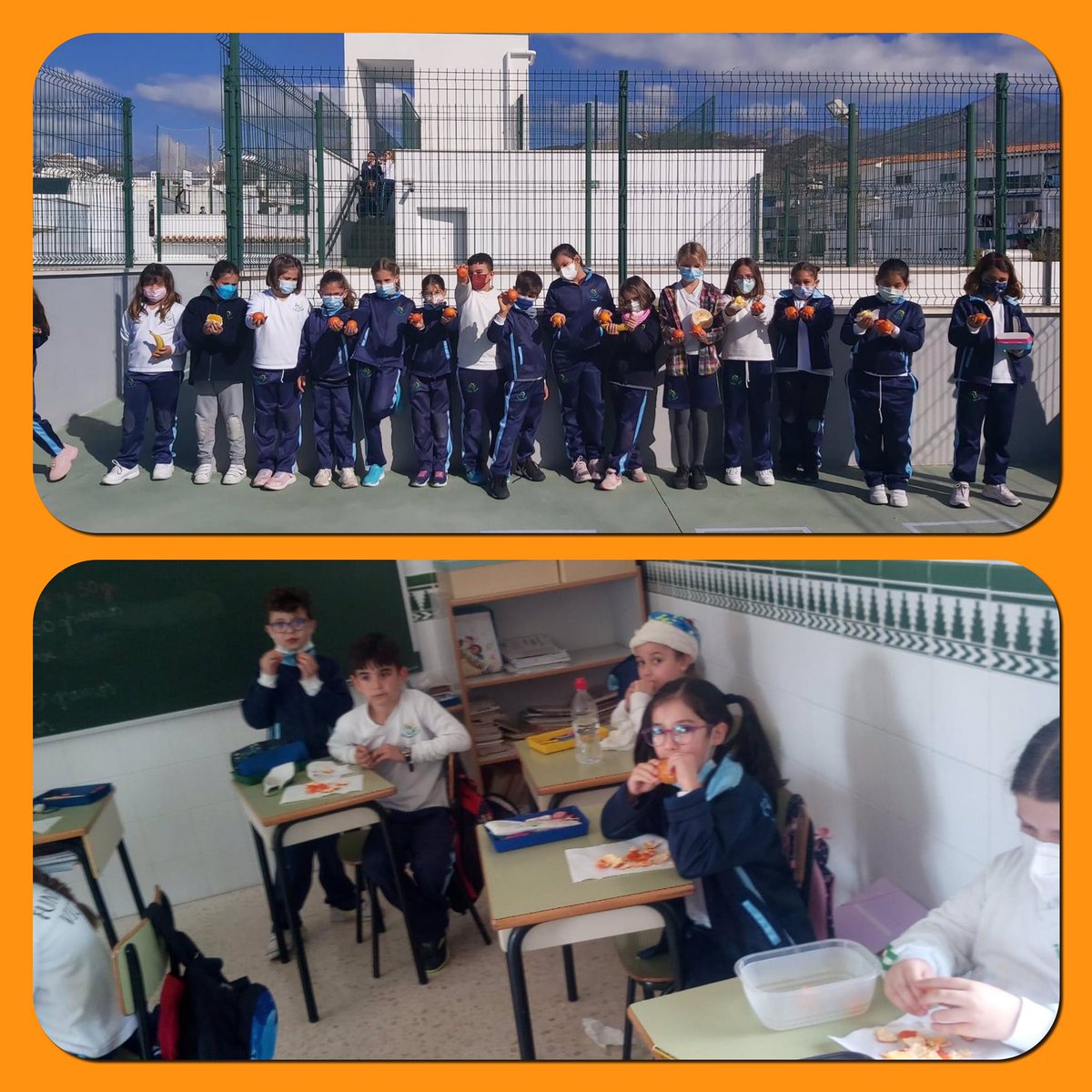 #CreciendoenSalud Primer reparto de frutas, naranja 🍊, mandarina 🍊 y manzana 🍏 #primaria dentro del proyecto de Hábitos de Vida Saludable <a href="/ProEdSaludable/">Programa Hábitos Vida Saludable</a> <a href="/vlucsan/">Vanesa Lucena</a> <a href="/Aracelisoler/">Araceli Soler Gómez</a> <a href="/portillo47/">Pepe Portillo</a> <a href="/vicente_guirado/">Vicente Bermudez Guirado</a> <a href="/Juman_GG/">Juanma Gonzalez</a> <a href="/YoliLucena/">Yolanda Lucena Padilla</a> 
#ColegioDiocesanos 💚
#CaminamosJuntos 👣👣
