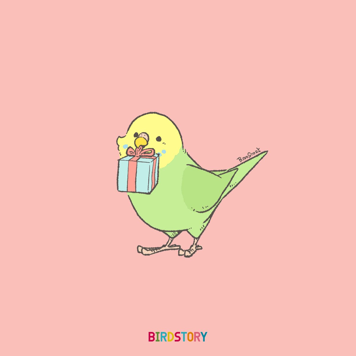 bird gift no humans animal focus simple background pink background gift box  illustration images