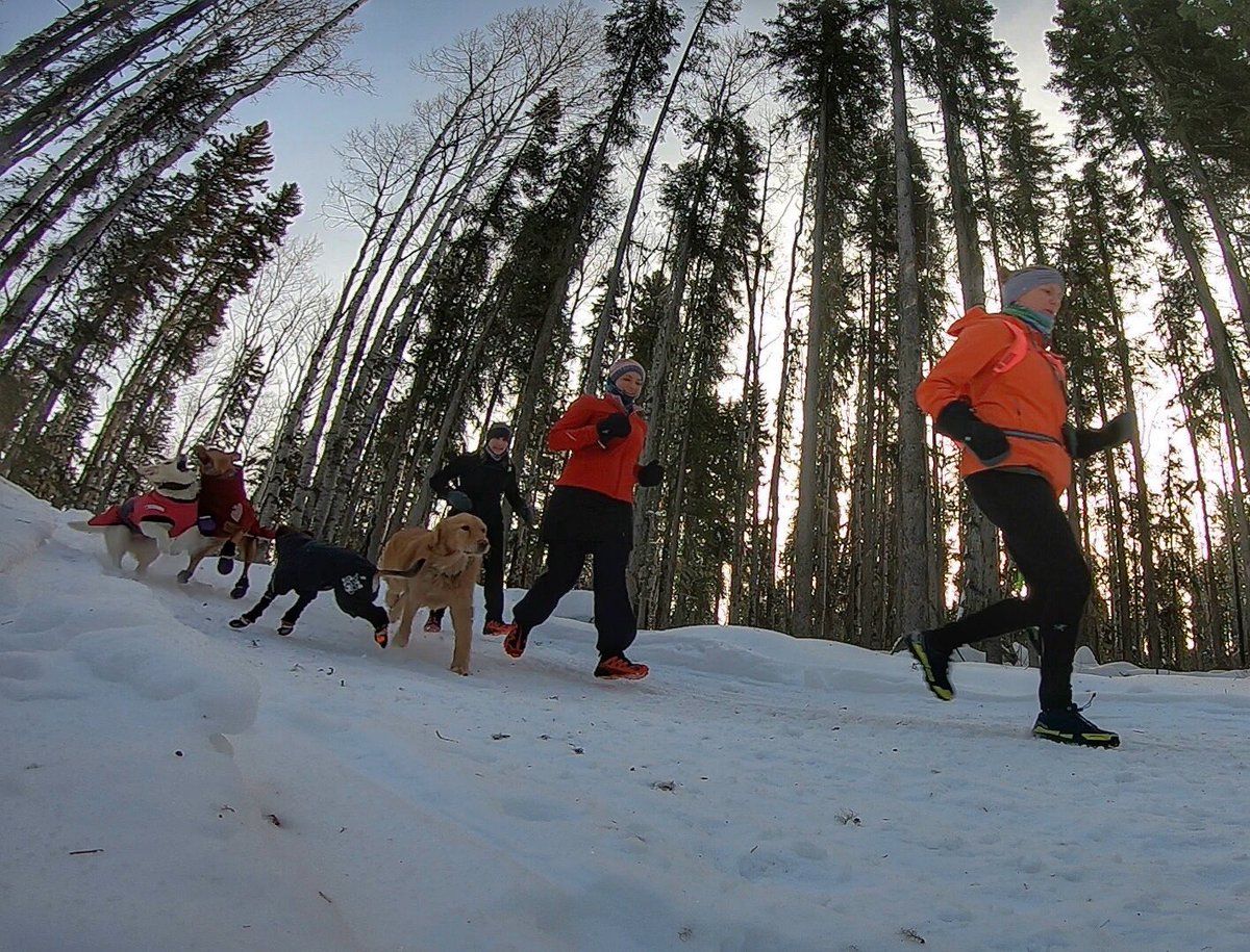 The dogs are a little less serious about hitting the perfect running pace. #runningwithdogs