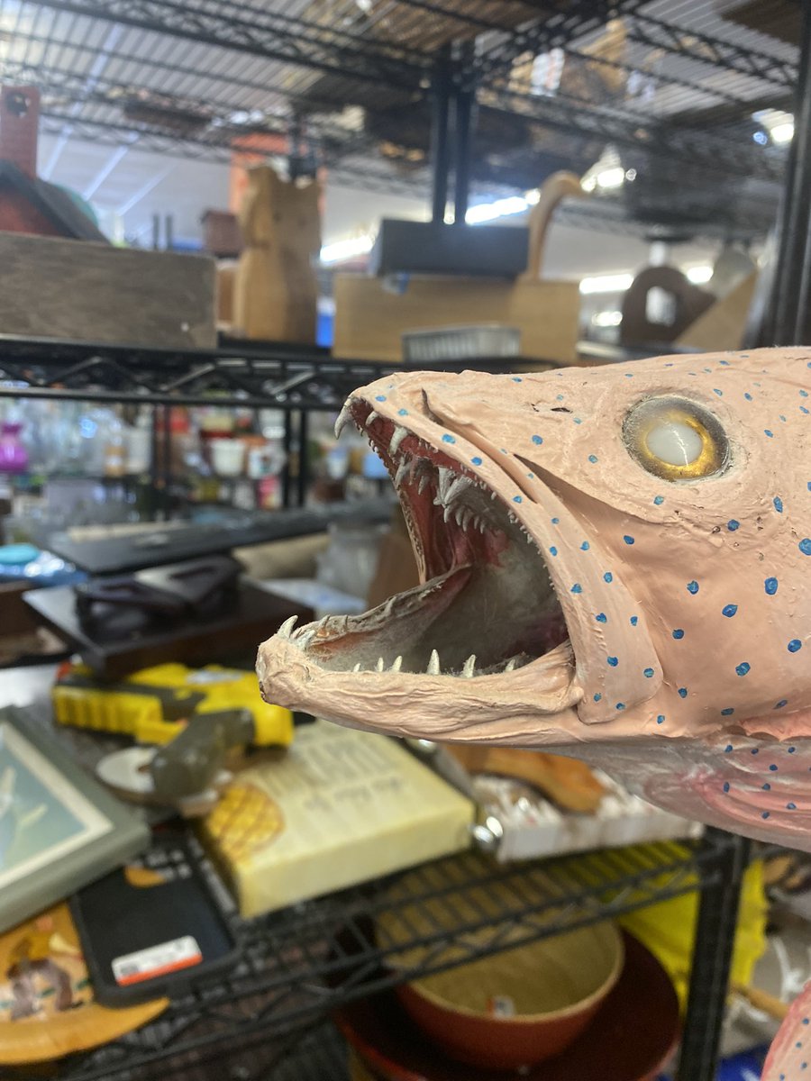 tatubabyyy's tweet photo. Goodwill with my mama today lmaooo https://t.co/cBOvVrQl1J