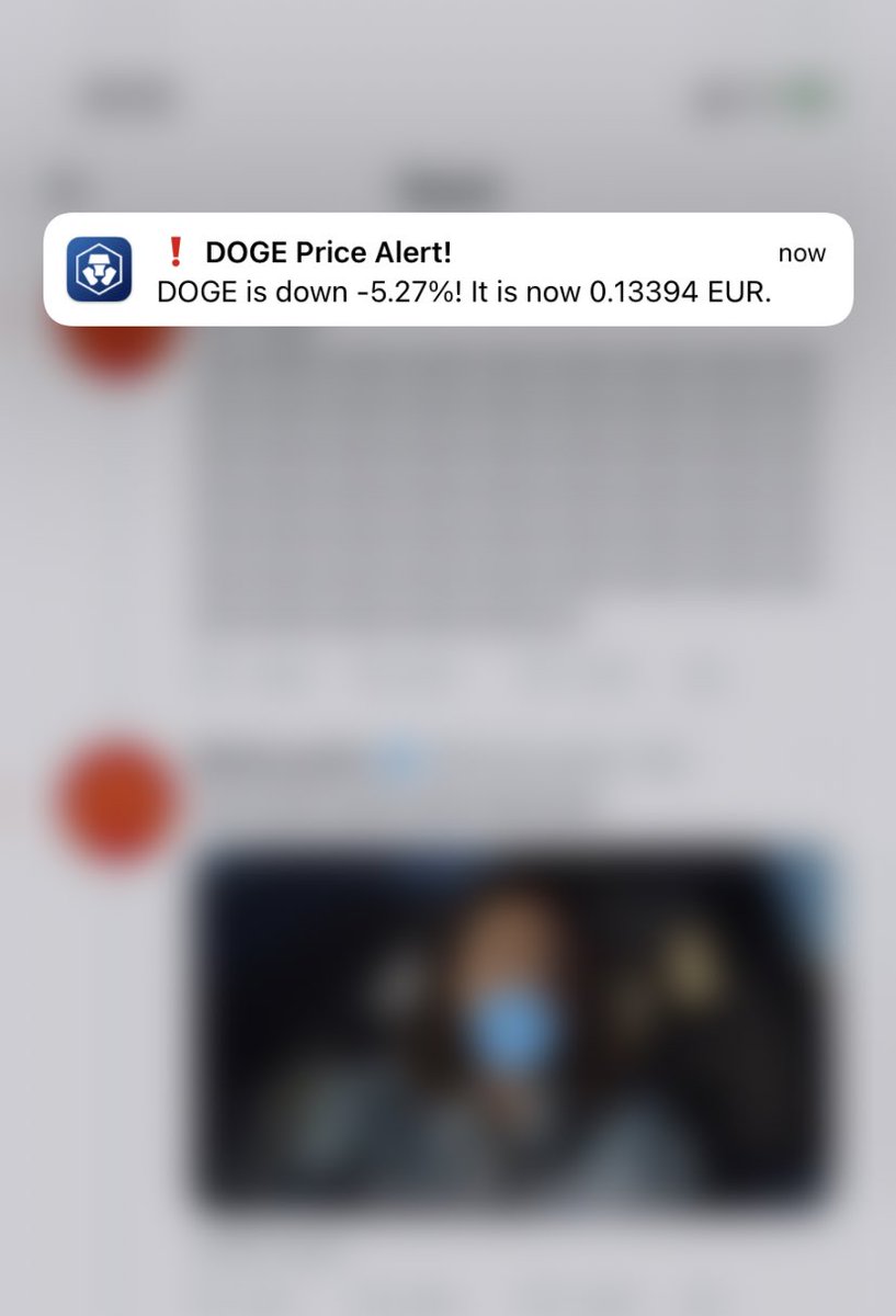 Sir Doge of the Coin ⚔️ tweet media