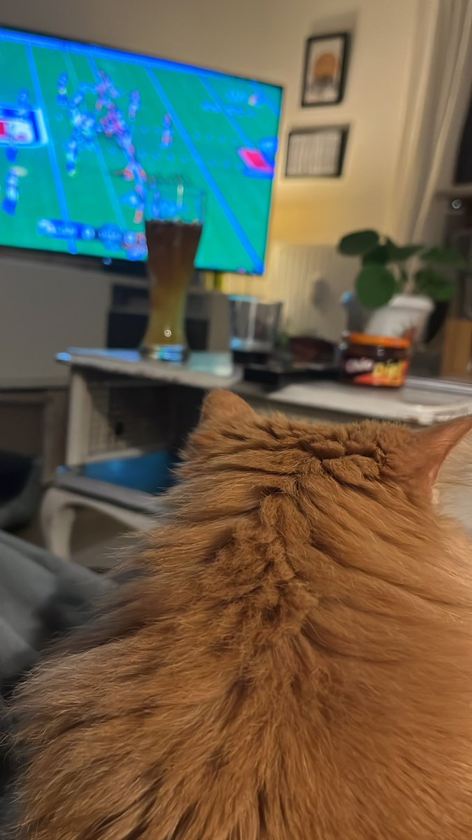 ForstiLoL's tweet photo. Go Bengals #SuperBowl https://t.co/JTeRE5iZTl