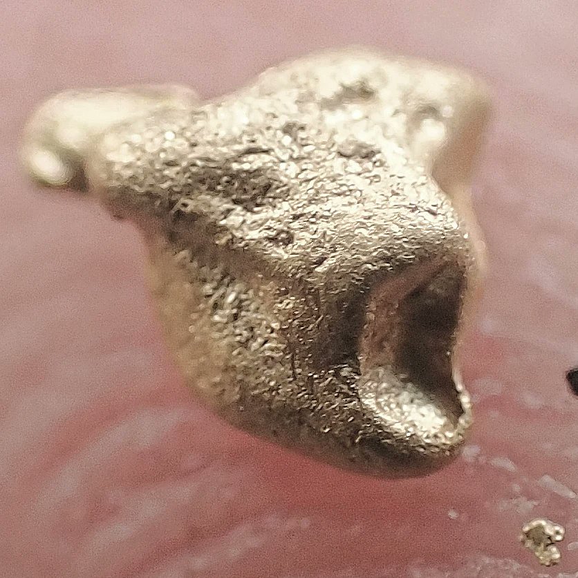 sluicelee's tweet photo. "Got a little high this weekend" #highbanking #placergold  #oldgoldmine #prolinehighbanker #pickerfish ?? What do you guys think the picker looks like? #happyprospecting https://t.co/q59Udt6UaY