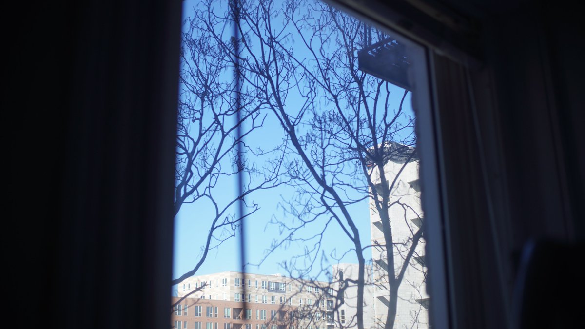 aprioricat's tweet photo. つかの間の青空。

Felt like spring just for a short time.

#yesterday #昨日 https://t.co/6FgOAgPaI9