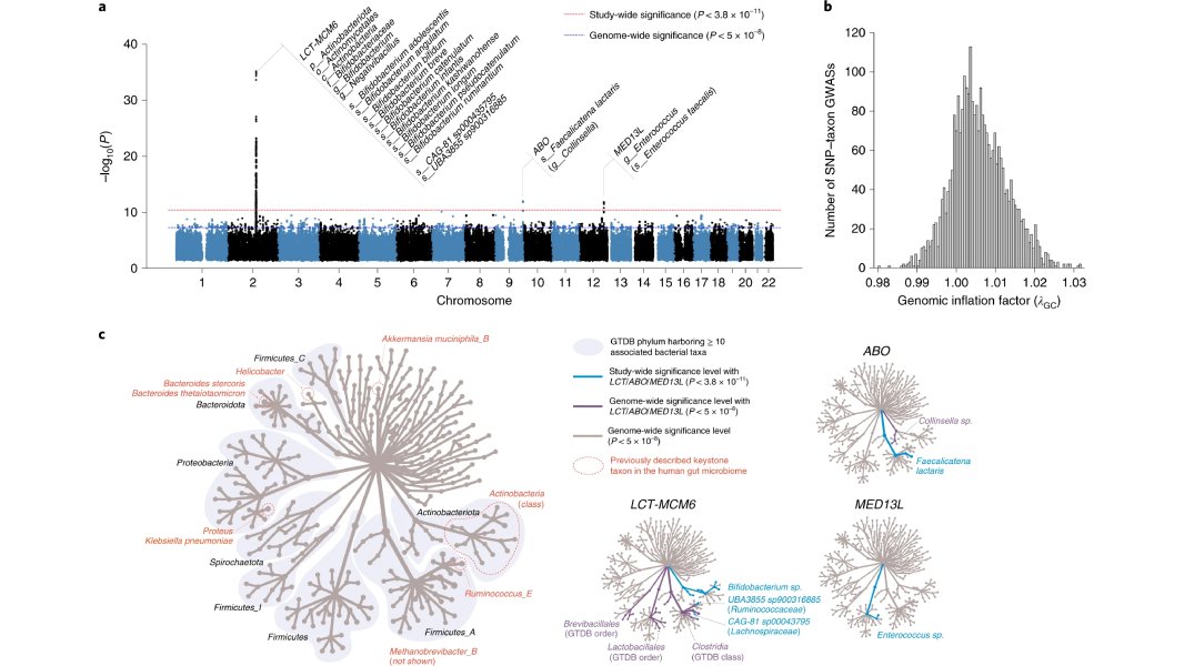 NaturePortfolio's tweet photo. An article published in @NatureGenet provides insights into the influence of human genes on gut health and their role in shaping gut microbiota. https://t.co/2JYk1MMHdq https://t.co/d003VtfK56