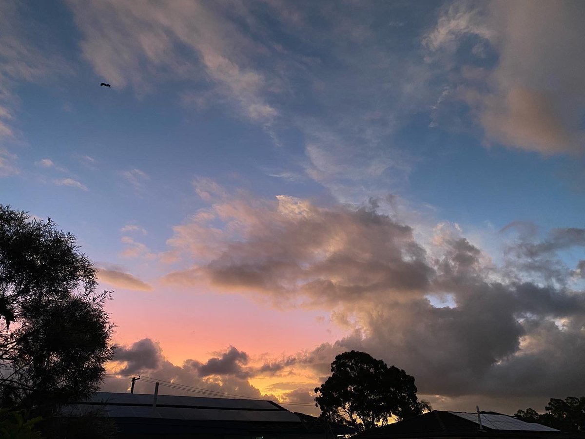 MsWags1701's tweet photo. Last nights sunset, absolutely magical 💫 https://t.co/OBcIlA3XIa