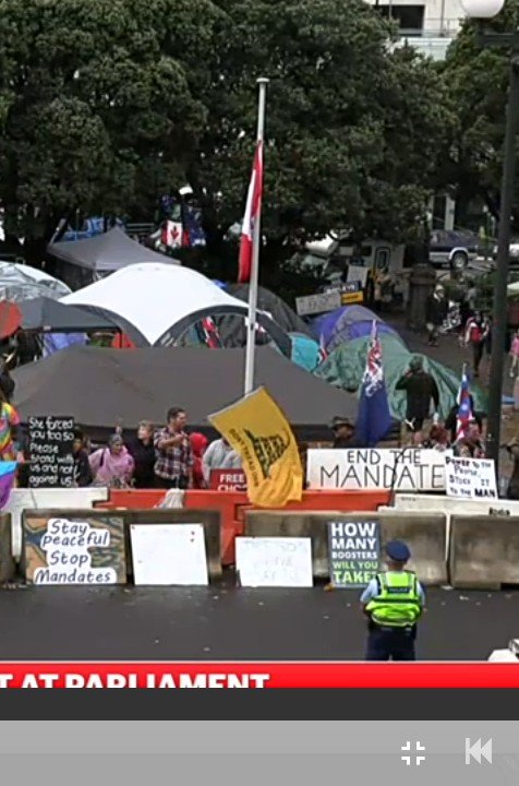 PositiveDevian1's tweet photo. Can someone please explain why these signs and flags are being waved at a New Zealand protest? Including Trump and MAGA flags.
Is it the American Qanon rightwing agitators using the NZ people for political shit stirring or do kiwis really care about racist Republican ideology? https://t.co/6HegaWexde
