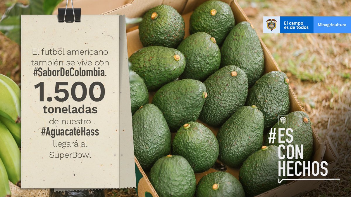 Flavia Santoro Trujillo tweet media