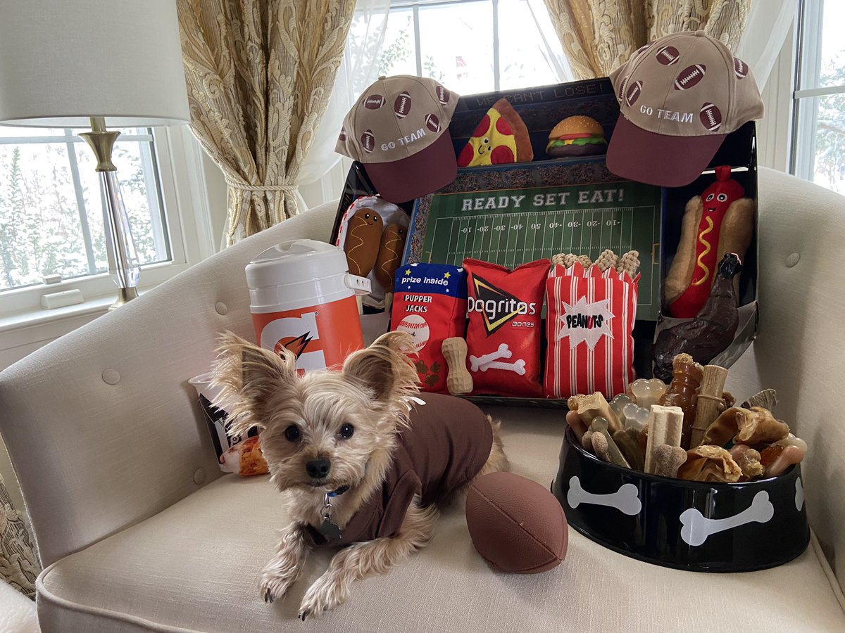 AtticusFinchAYS's tweet photo. @meepthebird your my favorite! #PuppyBowl https://t.co/lWIJ6dDwmC