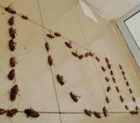 Frysk420's tweet photo. Happy Valentines @_nightci ❤️ https://t.co/tTIzOeWZXD