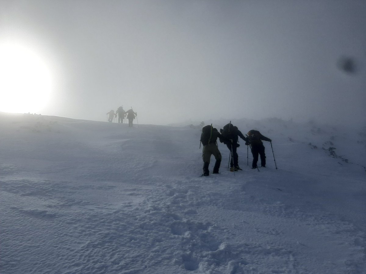 napsihijatrija's tweet photo. #aboutweekend
Нејзиното височество Хајла!!!😍❄👣 https://t.co/juIzRz5uMZ