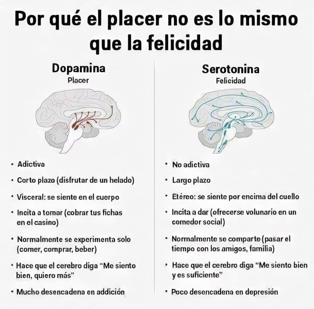 santiago_olivas's tweet photo. Por qué el placer no es lo mismo que la felicidad https://t.co/icR9hKfUeh