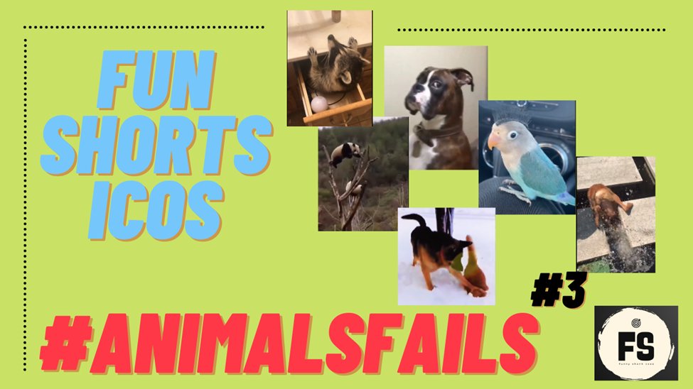 BroadcWorld's tweet photo. #Animalsfails #3 you can not imagine it. 🤡Enjoy this funny video 😹😹🙀🙀https://t.co/WB5xaeaPP0 https://t.co/CIVp0gUNTu