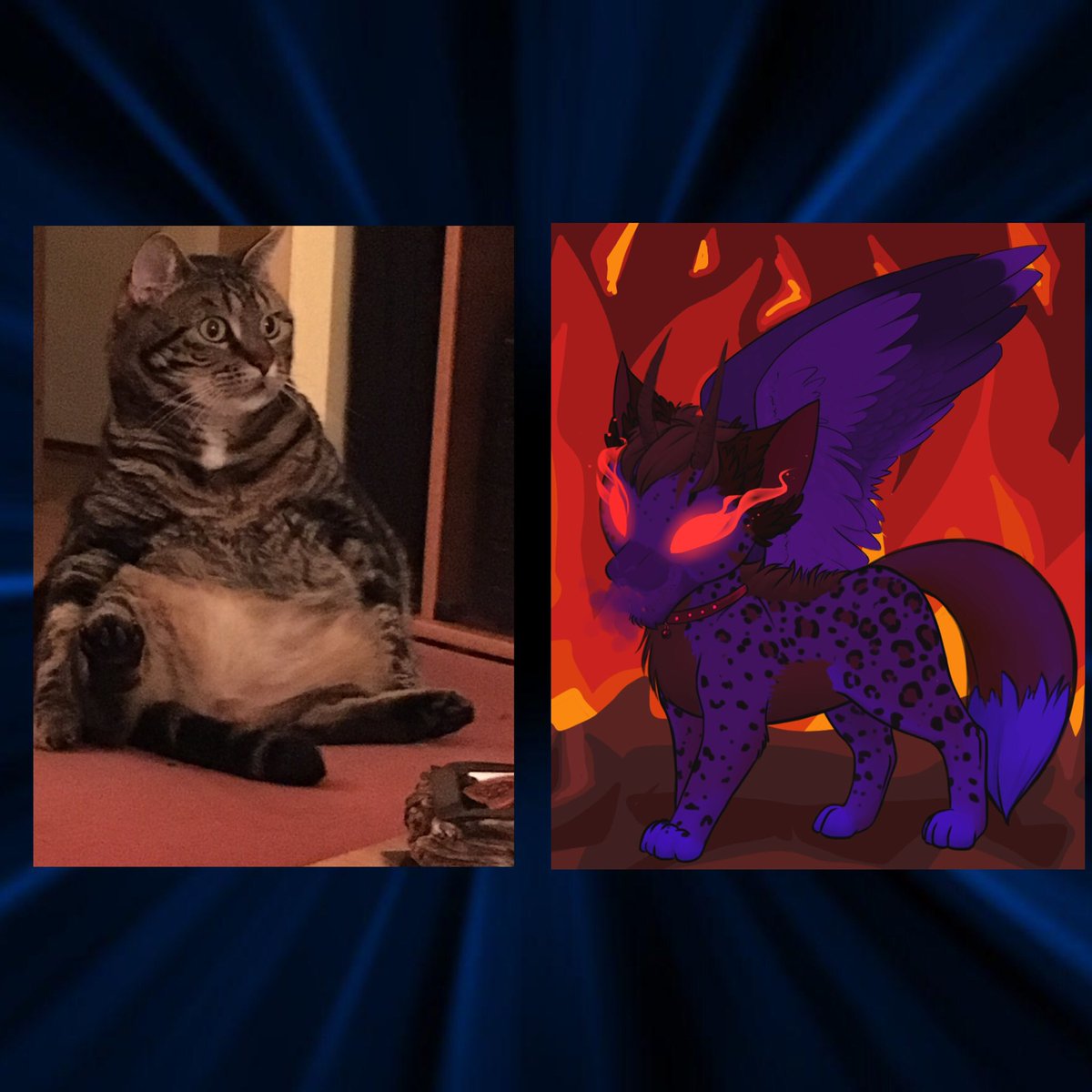 SusysStories's tweet photo. Challenge 5 #demonathon #DemonathonDarkestNight @demonathon
Meet Seven. Left = the form in which she tricks you to believe she’s a sweet, innocent creature. Right = her true form. When you’re not looking she breaks down your house and attacks your feet. https://t.co/A543qVp1aF