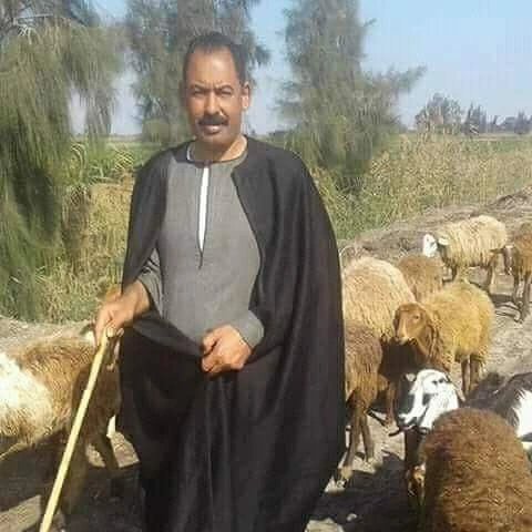 saad elshazly (@sshelshazly) on Twitter photo 