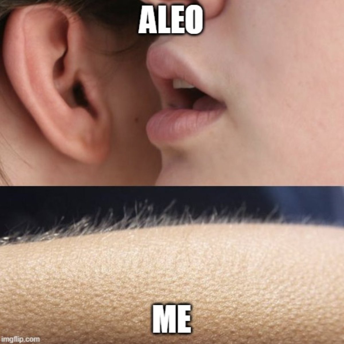 sightfight1's tweet photo. @AleoHQ is coming out with huge Ambassador program which is avaible for everyone. Dont miss it  out https://t.co/ES7fn6Hlh8