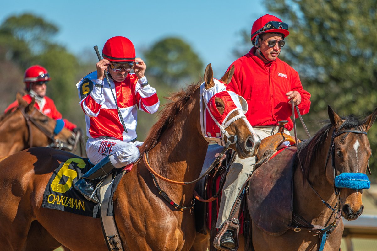 Salute the Flag &amp; Luis Quinonez before their runner-up finish in R1 Sunday afternoon <a href="/OaklawnRacing/">Oaklawn Hot Springs</a>. Salute the Flag among only three horses still owned by famed <a href="/Fox_Hill_Farm/">Fox Hill Farm</a> - 1 solo &amp; 2 in partnership. FH owns Salute the Flag with <a href="/SienaFarmKY/">Siena Farm</a>.