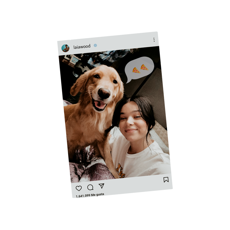 ⠀

  ⠀     ₊°✧︡ ˗   𝗜𝗡𝗦𝗧𝗔𝗚𝗥𝗔𝗠 𝗗𝗔𝗜𝗟𝗬   ˏ ˋ ♡ 

⠀