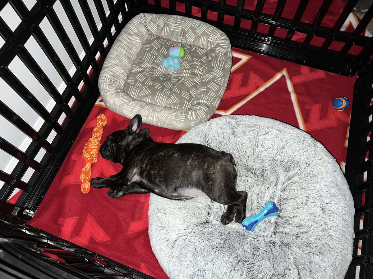 Hey guys. Dad caught me catching up on sleep after playing with big sis. Can’t wait for everyone to meet her, she’s my hero!