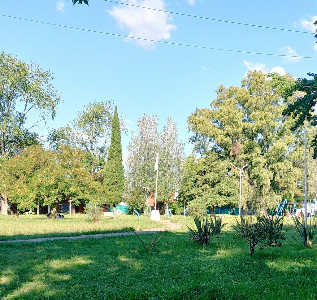 btz_fernando's tweet photo. Que bello día #Domingo #AIRE #Argentina https://t.co/kMKGxjvQ2L