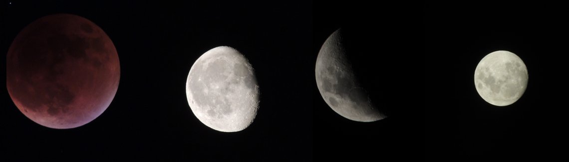 🧪Frandel Pacheco 🧪 tweet media