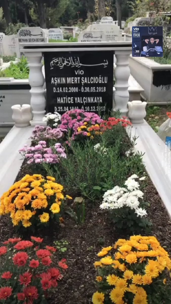#viobakhalaburdayim bi gün bizde yıldızlara ulaştığımız da cennetteki yaş gününü beraber kutlama dileğiyle