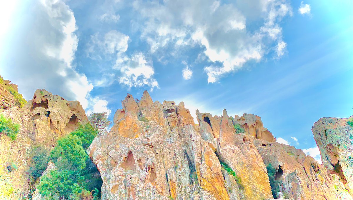 Et c’est parti pour deux jours d’échange entre une délégation de producteurs d’Abricots des Baronnies et les opérateurs de la filière IGP Clémentine de Corse ❤️