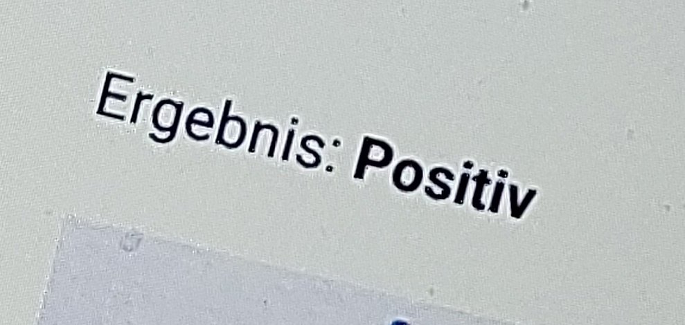 thisiselcarrot's tweet image. Wie