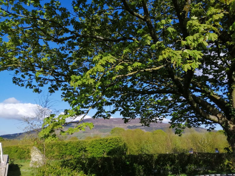 Spring clean your mind through nature immersion💚This special retreat is part of the Aspiring Geopark Spring Festival 2022. xhale.biz/retreats/blueb… @Ring_Of_Gullion @visitmourne @DiscoverNI @GoToIreland @PadraigCarragh2