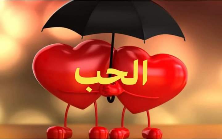 الحب الحقيقي هي تلك العصا السحرية التي تلمس القلوب ، فتنبض معا  نبضا واحد . إنه الود الذي يتناسل منه الحنان والسكن بين الأرواح . إنه الطين الذي يتحول إلى حناء من الورد  تزين كفوف المحبين  . إنه الوطن الذي يحمينا من تقلبات الأيام والسنين