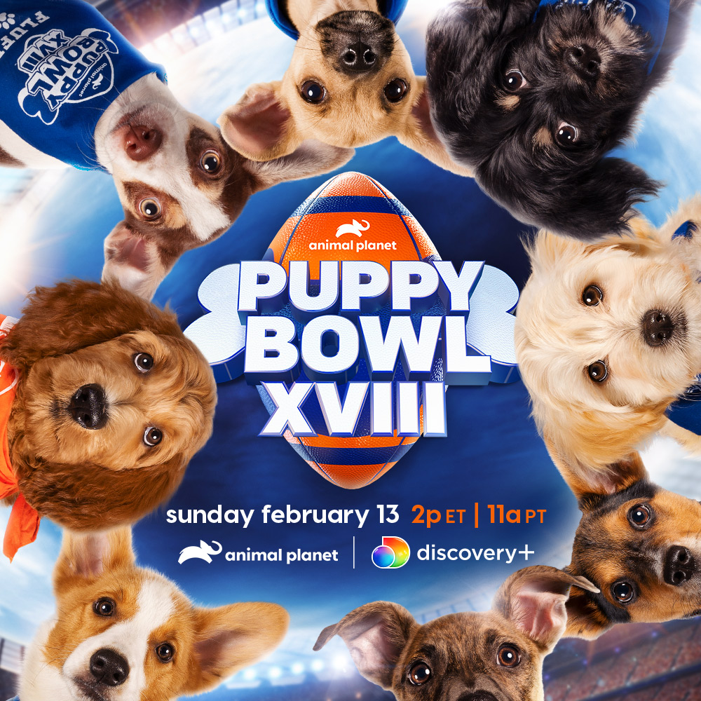 Let's all cheer for Gnocchi today as she is a star of the 2022 Puppy Bowl!!

We were honored to be chosen to show off one of our adoptable pups and be a part of this event. 
#PuppyBowl Animal Planet 

Check out all the participating shelter pets: discovery.com/shows/puppy-bo…