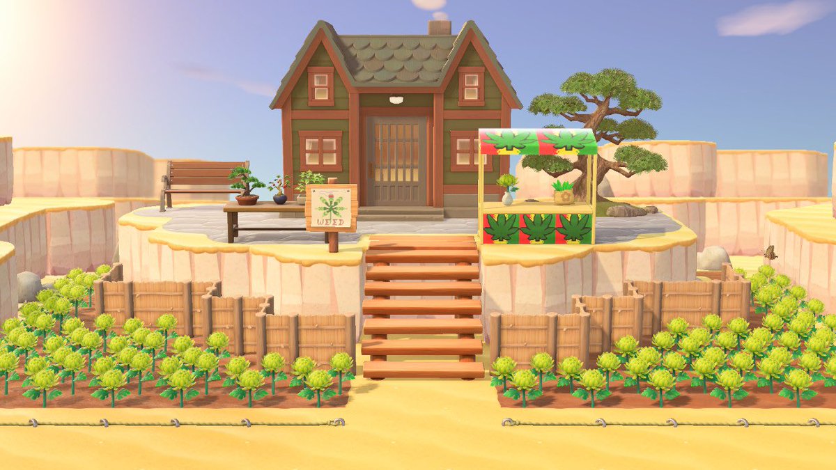 cocopeachnut_'s tweet photo. June said she wanted a medical pharmacy 🤷🏼‍♀️😉 #dispenso #ACNHDesign #AnimalCrossingNewHorizons #june #HappyHomeParadise #hhp https://t.co/c2eUlOqOhx