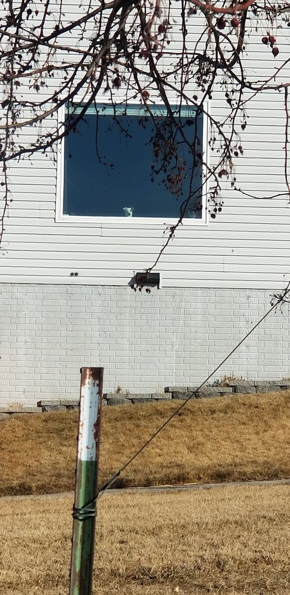 I spy......